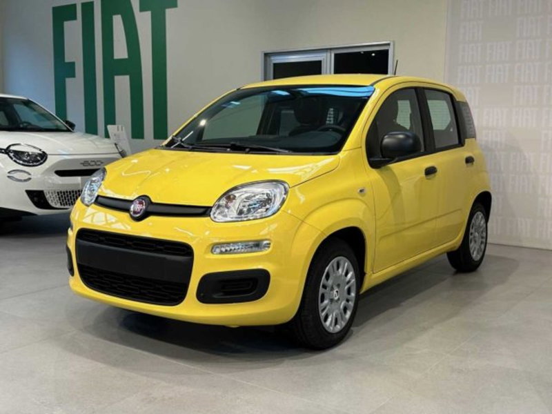 Fiat Panda nuova a Sondrio