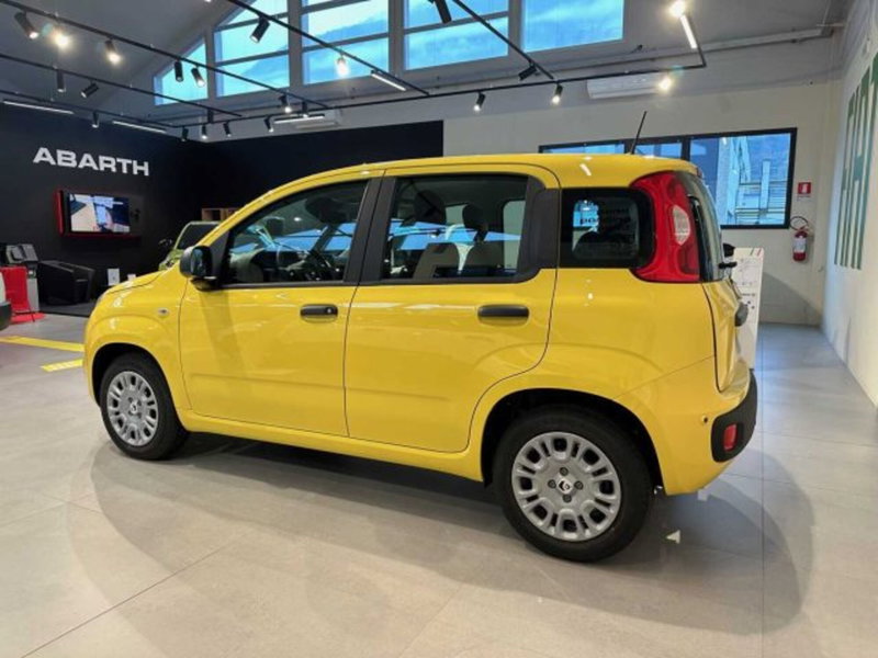 Fiat Panda nuova a Sondrio (2)