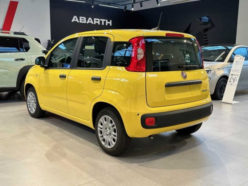 Fiat Panda nuova a Sondrio (3)