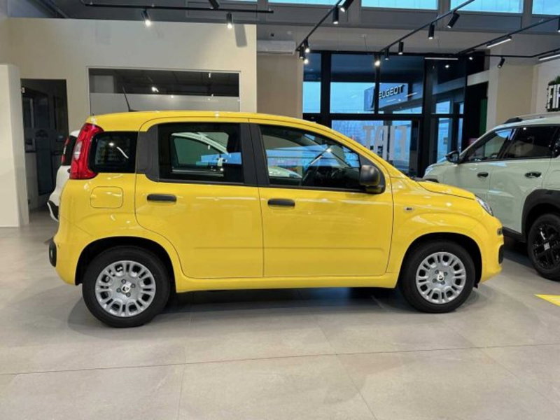 Fiat Panda nuova a Sondrio (6)