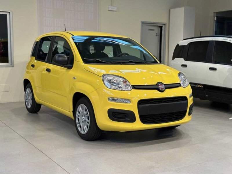 Fiat Panda nuova a Sondrio (7)