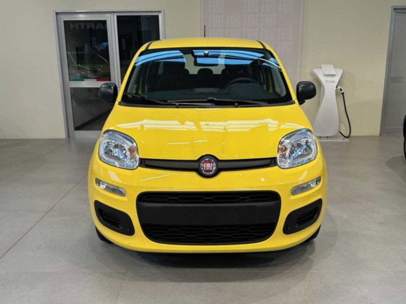Fiat Panda nuova a Sondrio (8)