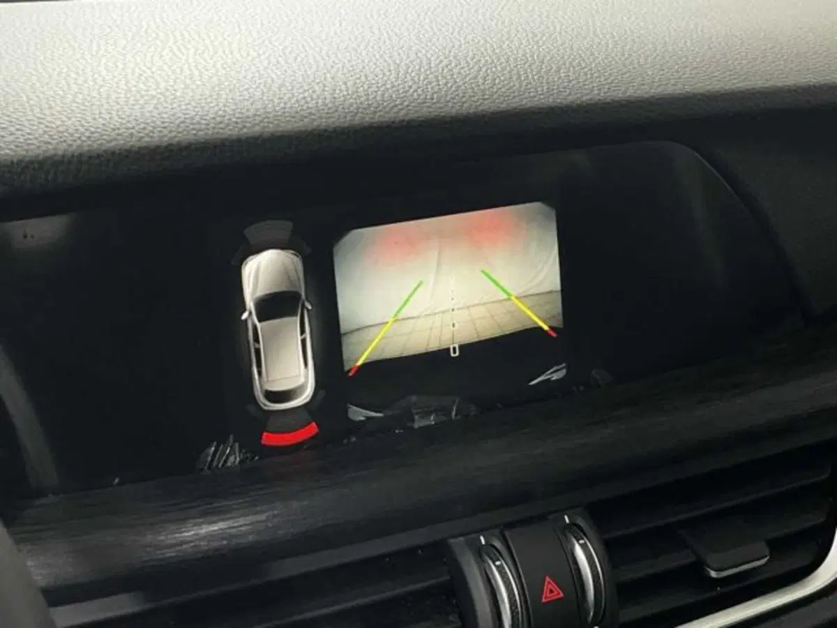 Alfa Romeo Stelvio usata a Sondrio (20)