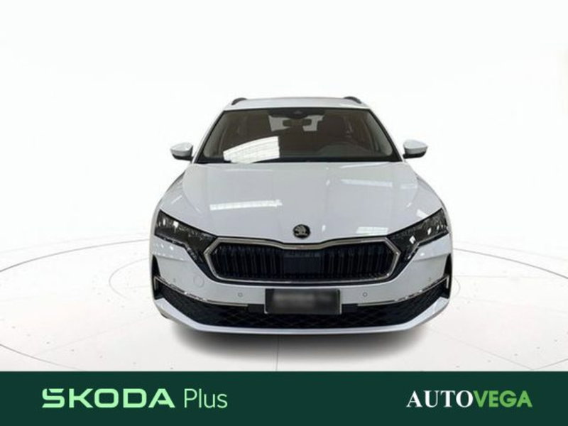 Skoda Octavia Station Wagon usata a Vicenza (2)