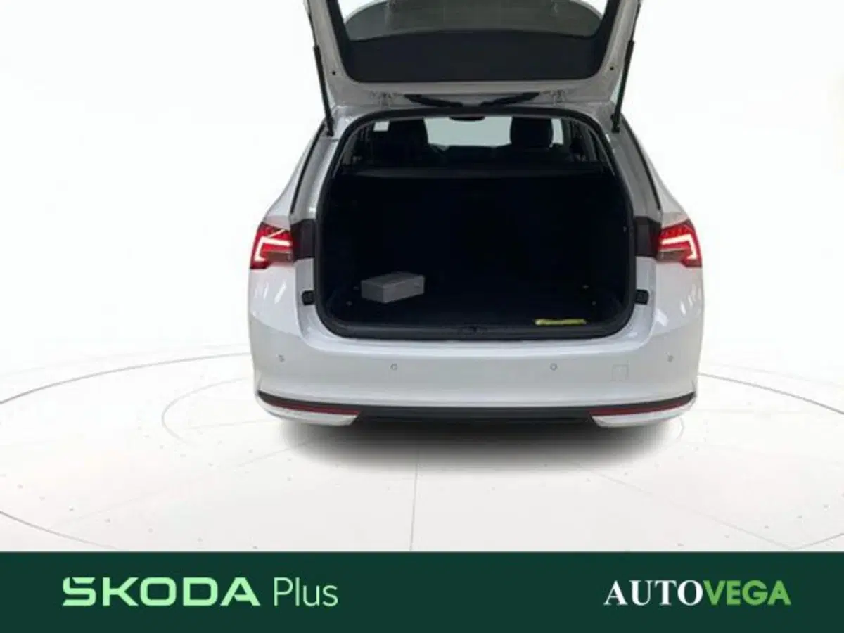 Skoda Octavia Station Wagon usata a Vicenza (20)