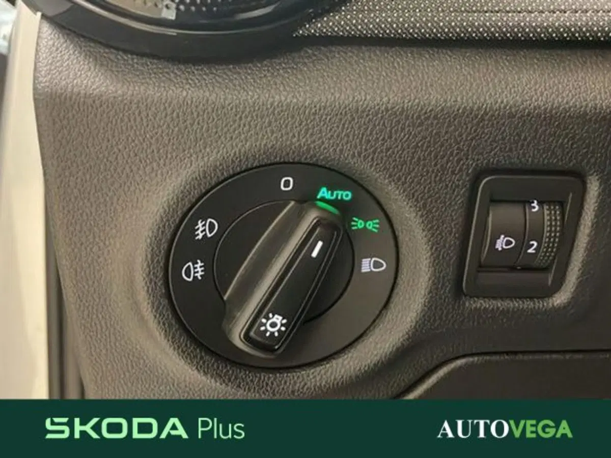 Skoda Fabia usata a Vicenza (15)