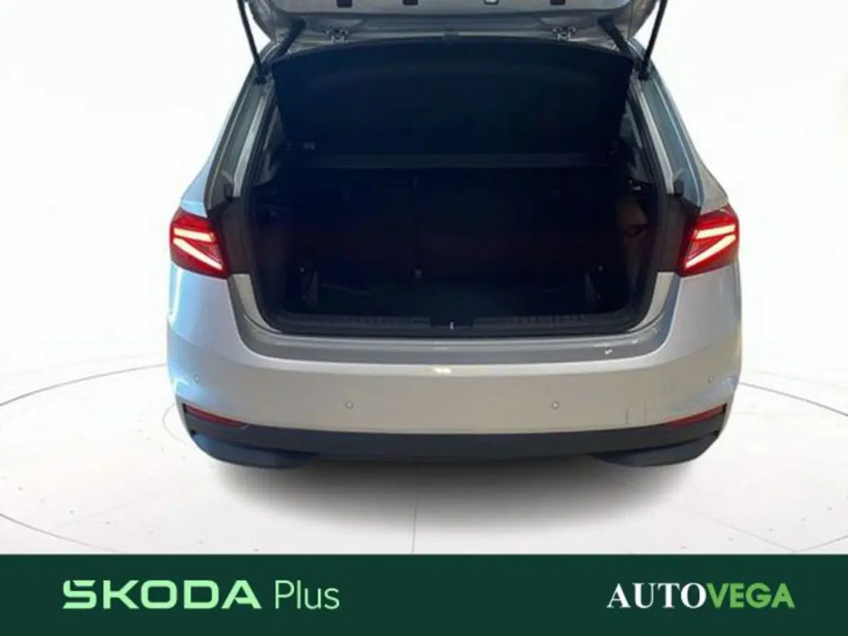 Skoda Fabia usata a Vicenza (18)