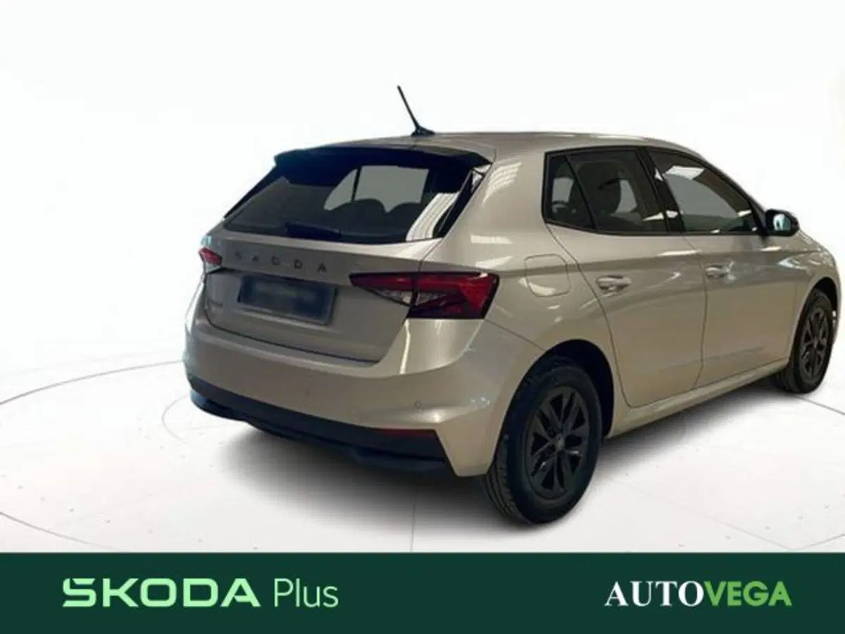 Skoda Fabia usata a Vicenza (4)