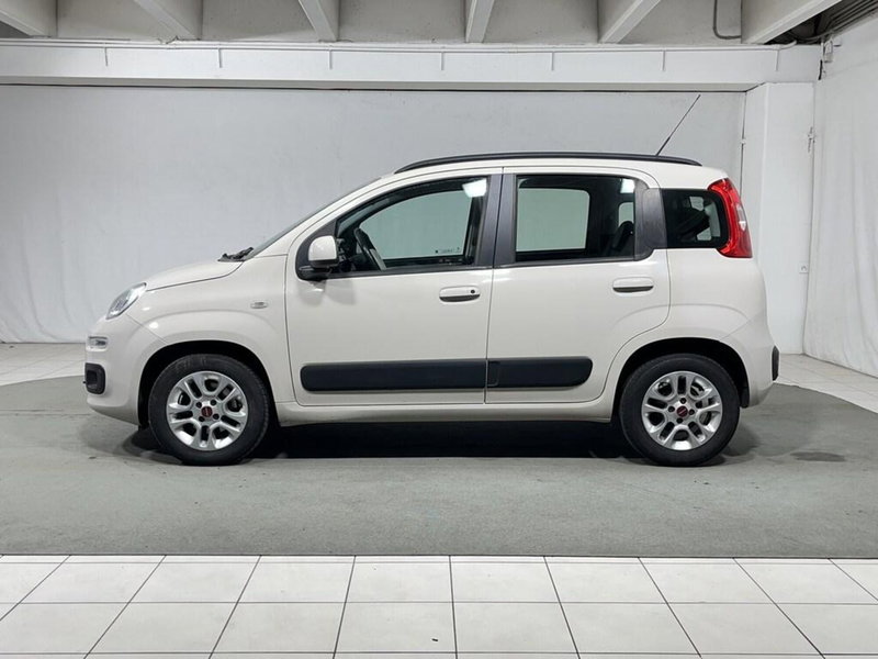 Fiat Panda usata a Sondrio (2)