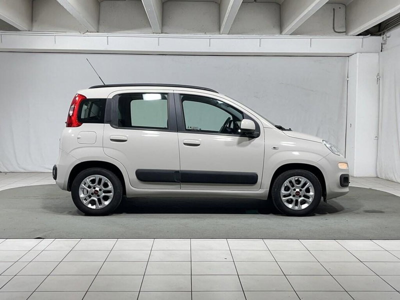 Fiat Panda usata a Sondrio (6)