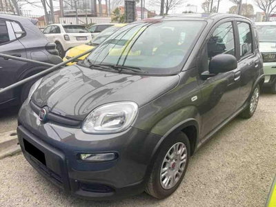 Fiat Panda 1.0 firefly hybrid s&amp;s 70cv 5p.ti del 2023 usata a Pianezza