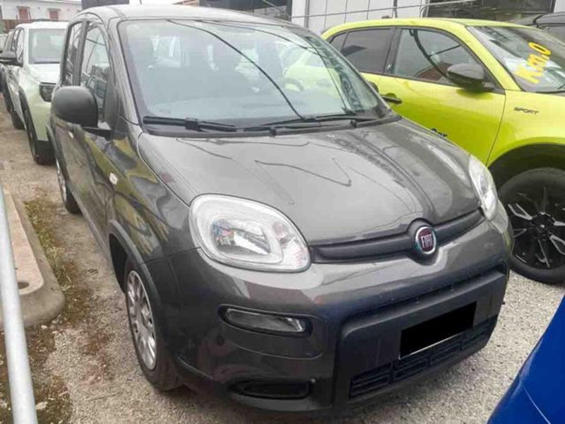 Fiat Panda usata a Torino (2)