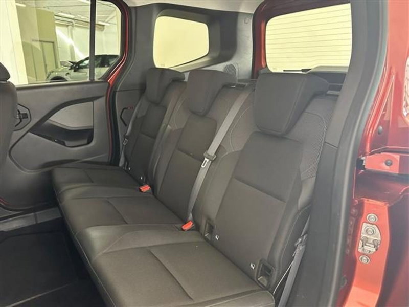 Renault Kangoo usata a Siena (19)