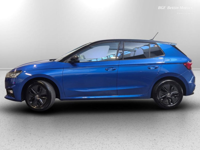 Skoda Fabia usata a Padova (2)