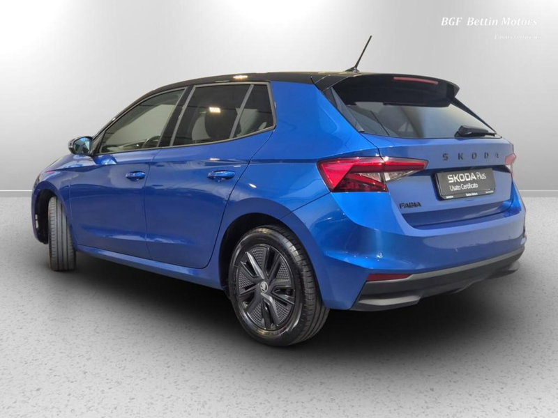 Skoda Fabia usata a Padova (3)