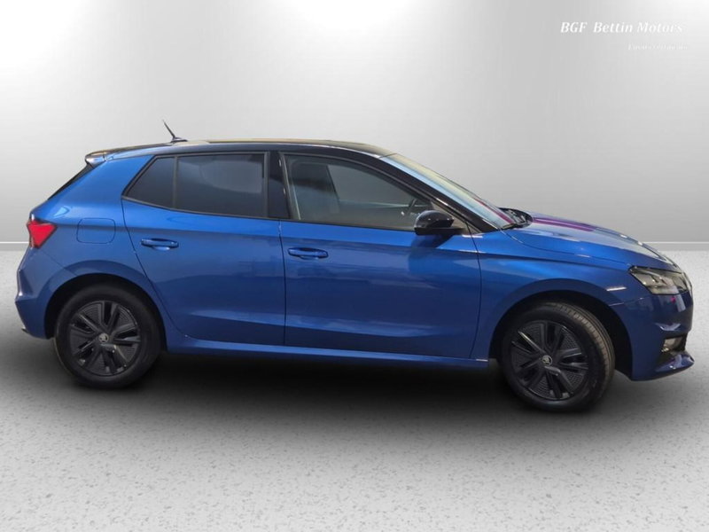 Skoda Fabia usata a Padova (5)