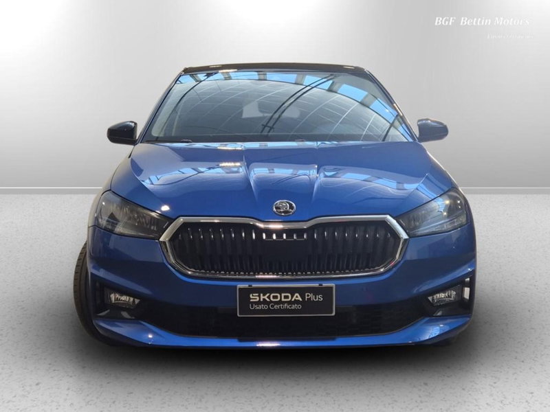 Skoda Fabia usata a Padova (7)