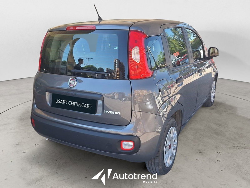Fiat Panda Cross usata a Bari (2)