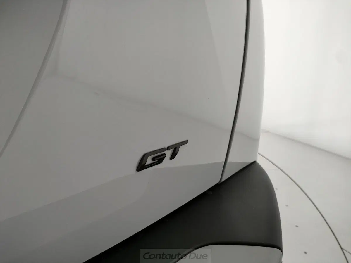 Peugeot 2008 usata a Caserta (8)