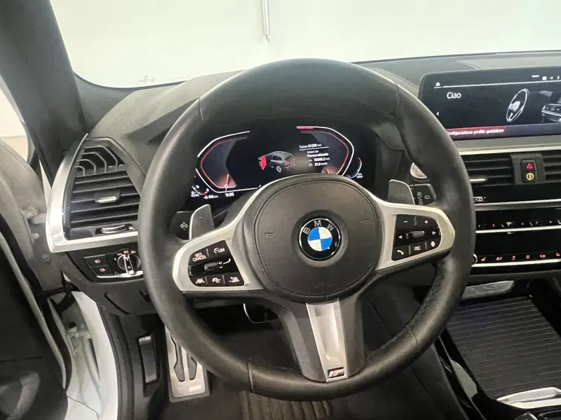 BMW X3 usata a Torino (14)