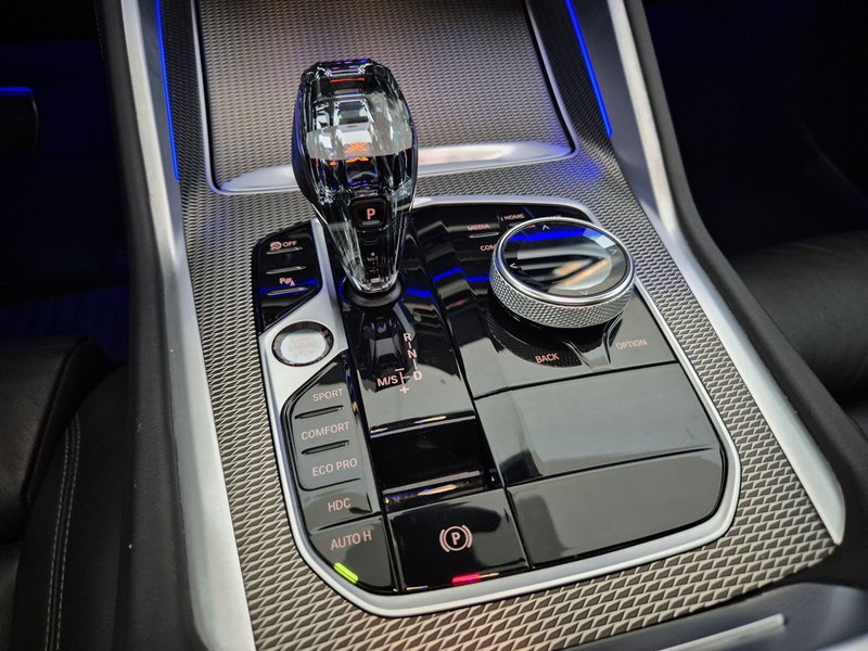 BMW X6 usata a Torino (11)