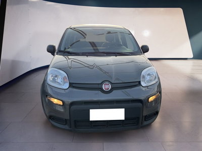 Fiat Panda 1.0 firefly hybrid s&amp;s 70cv 5p.ti del 2022 usata a Torino