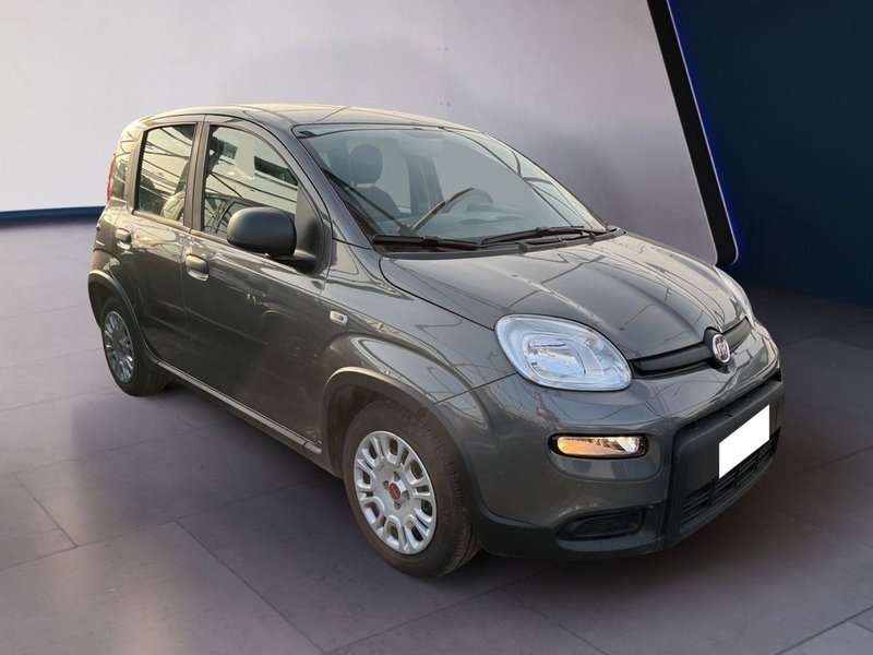 Fiat Panda usata a Torino (2)