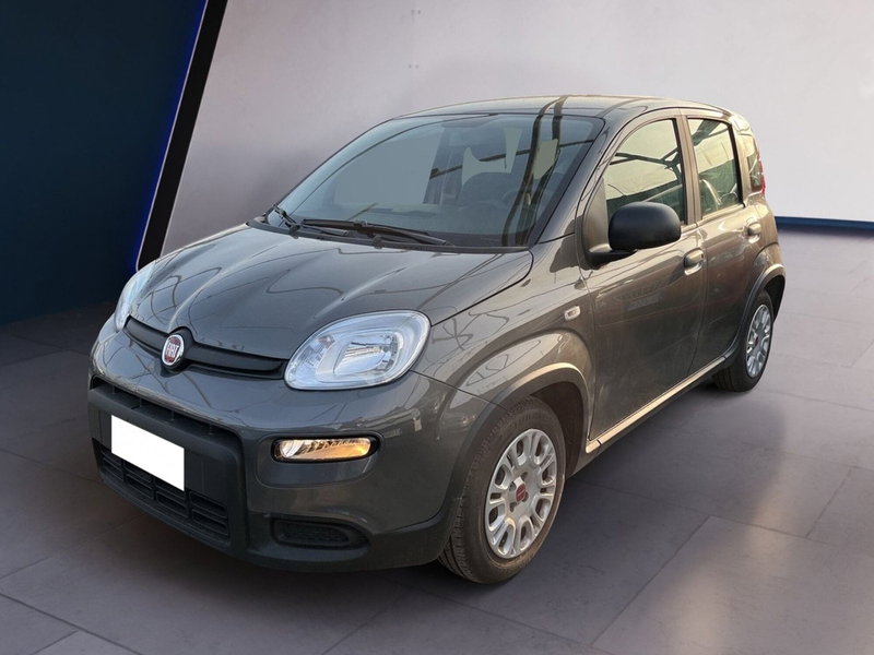 Fiat Panda usata a Torino (3)