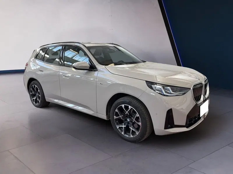 BMW X3 usata a Torino (2)