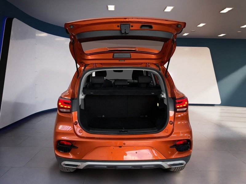 Mg ZS usata a Torino (8)