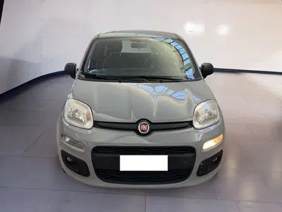 Fiat Panda Cross Cross 1.0 FireFly S&amp;S Hybrid del 2022 usata a Torino