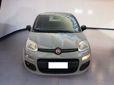 Fiat Panda Cross Cross 1.0 FireFly S&amp;S Hybrid del 2022 usata a Torino