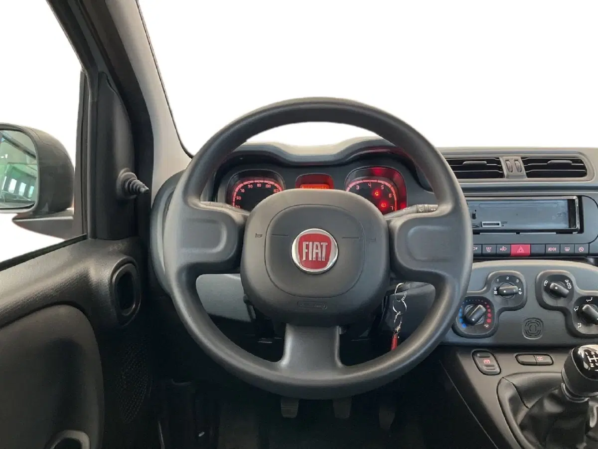 Fiat Panda Cross usata a Torino (11)