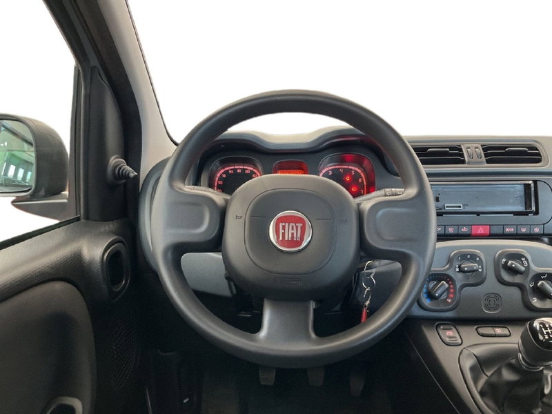 Fiat Panda Cross usata a Torino (11)