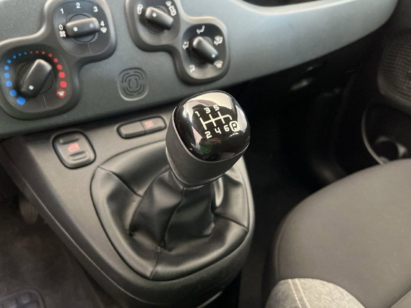 Fiat Panda Cross usata a Torino (12)