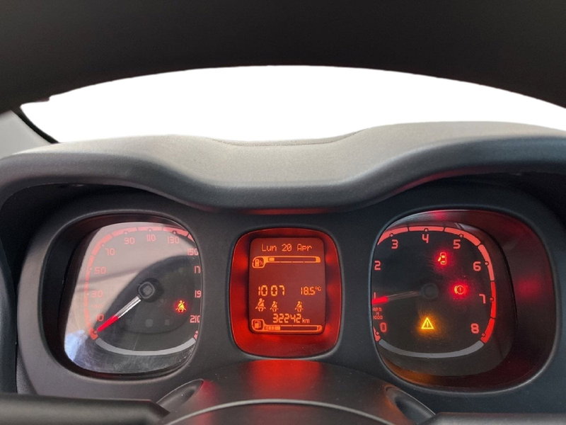 Fiat Panda Cross usata a Torino (13)