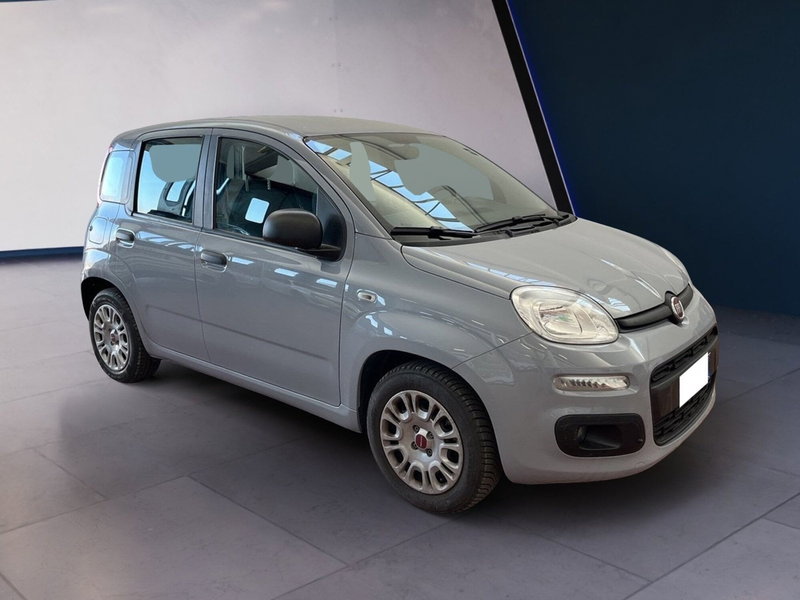 Fiat Panda Cross usata a Torino (2)
