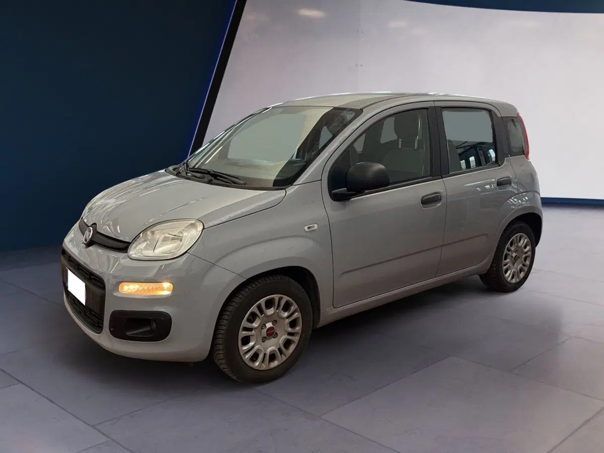 Fiat Panda Cross usata a Torino (3)