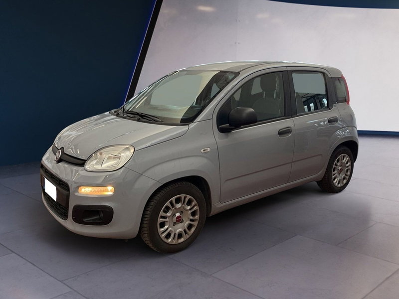 Fiat Panda Cross usata a Torino (3)