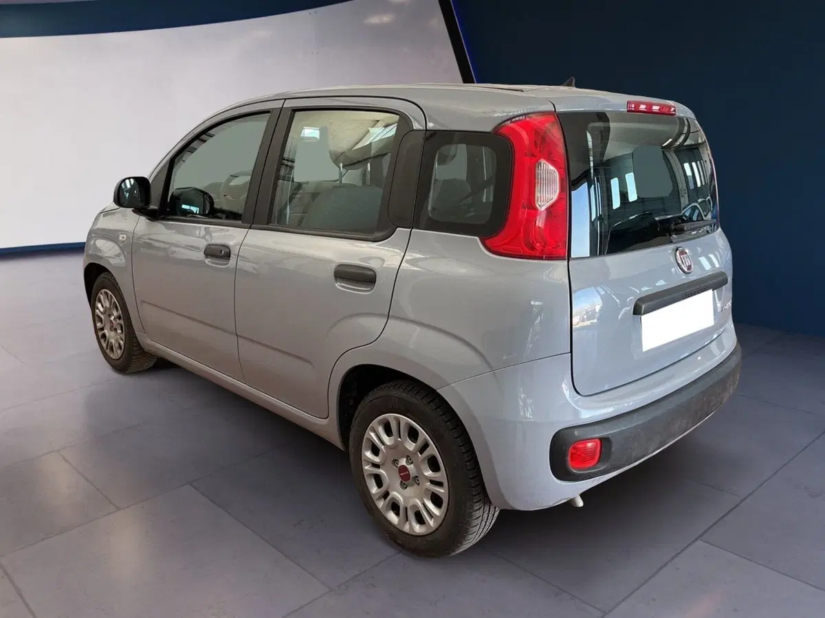 Fiat Panda Cross usata a Torino (4)