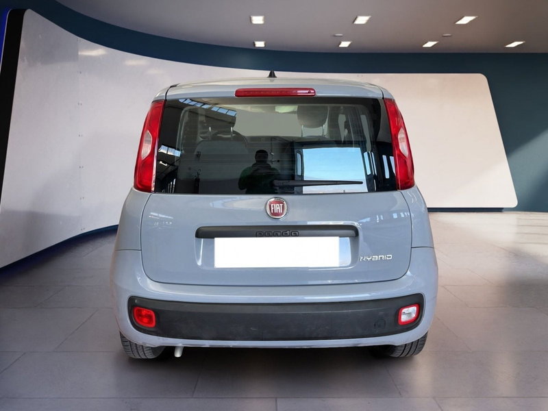 Fiat Panda Cross usata a Torino (5)