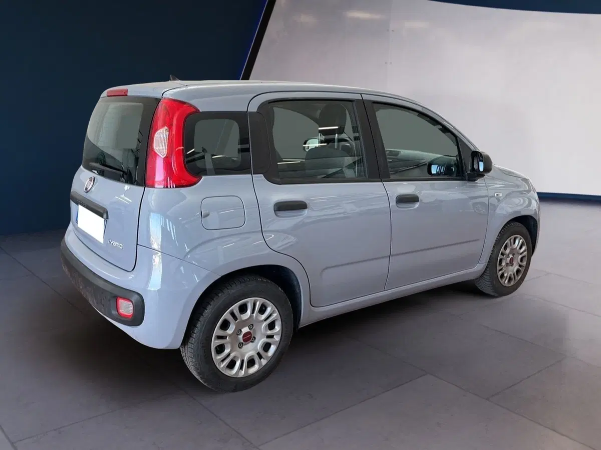 Fiat Panda Cross usata a Torino (6)