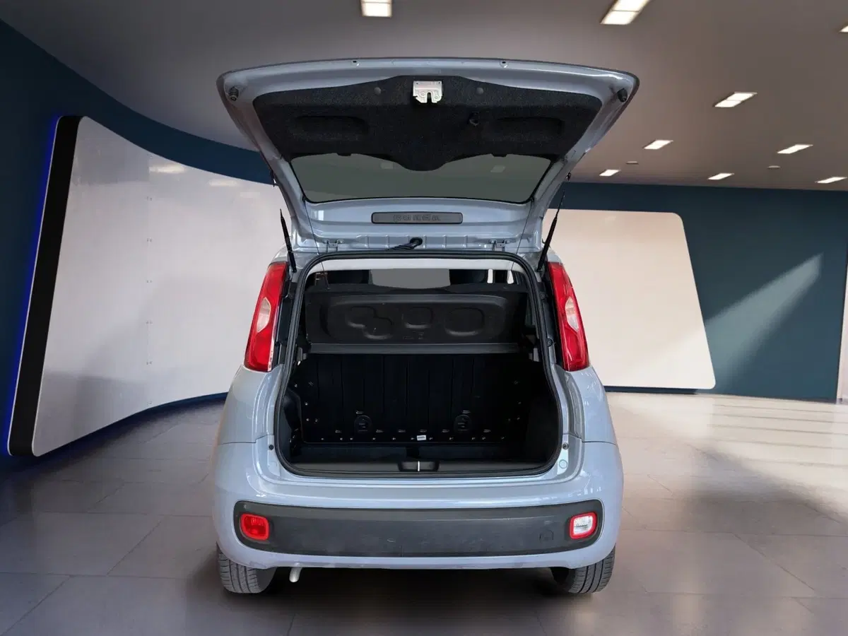 Fiat Panda Cross usata a Torino (7)