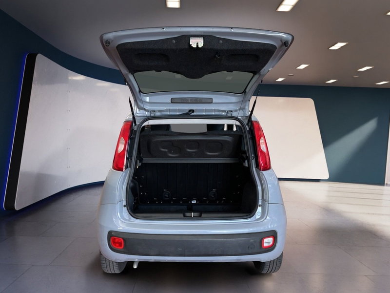 Fiat Panda Cross usata a Torino (7)