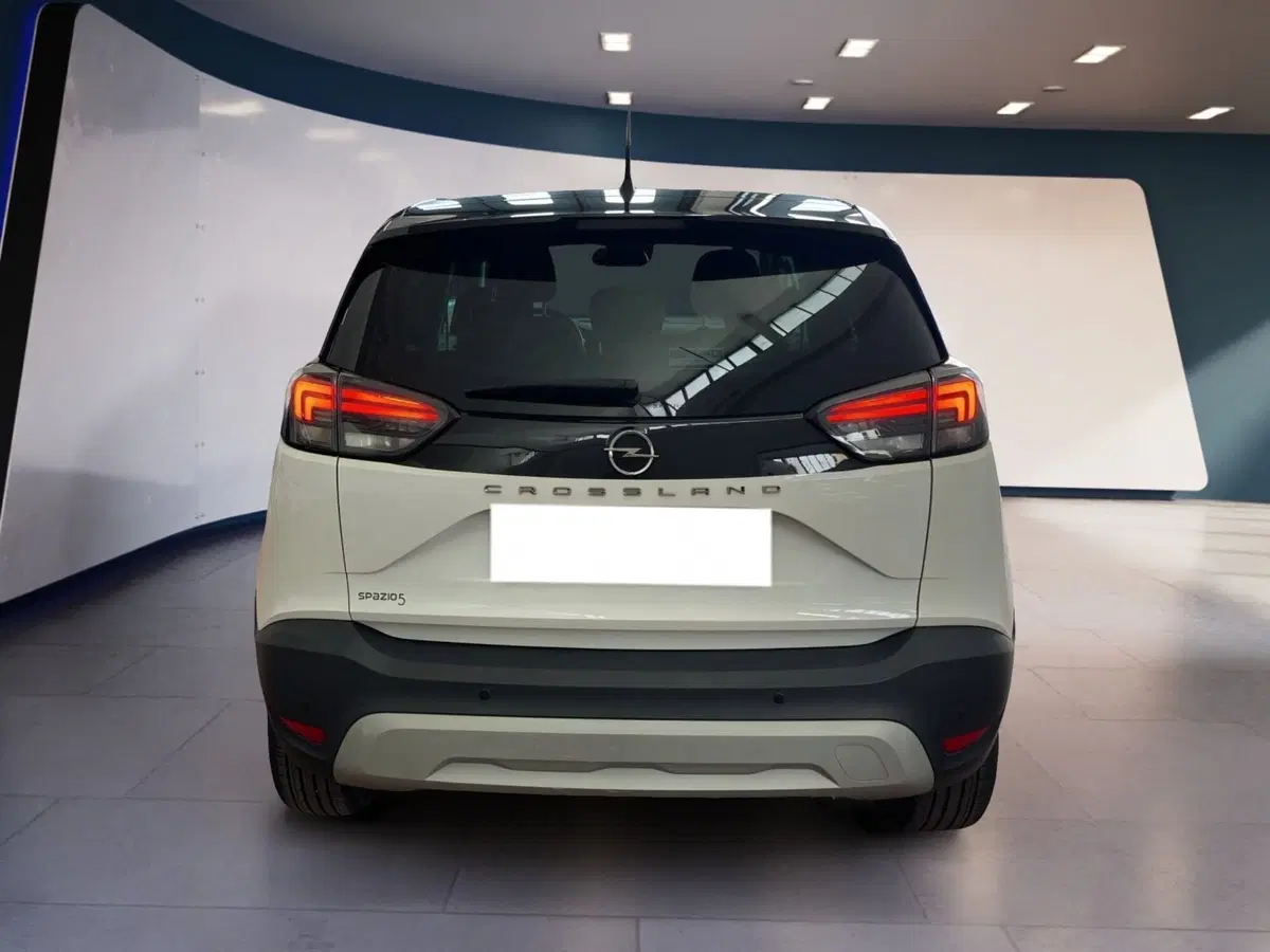 Opel Crossland X usata a Torino (5)