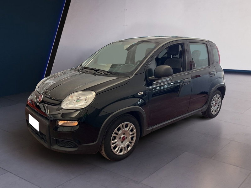Fiat Panda usata a Torino (2)