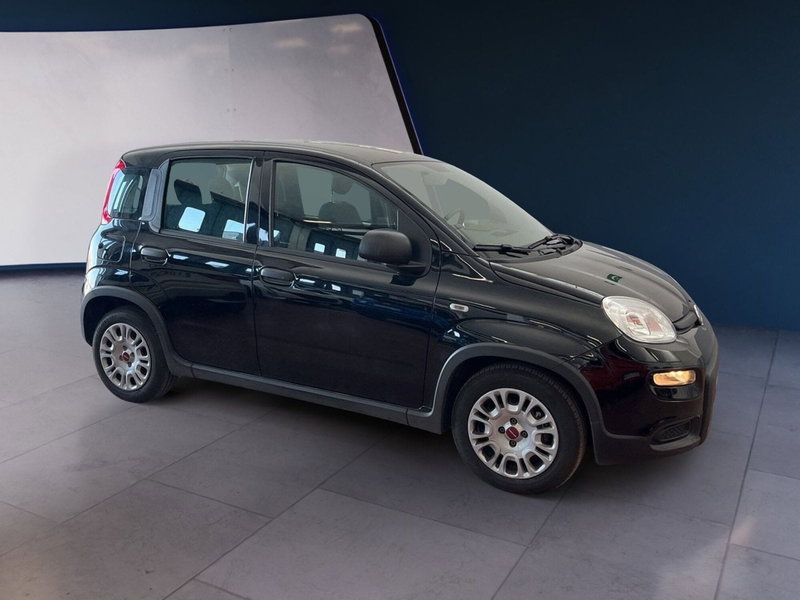 Fiat Panda usata a Torino (3)