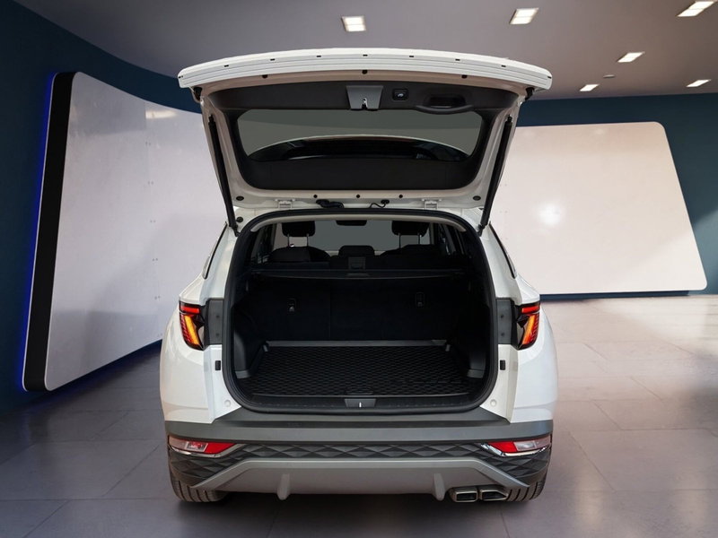 Hyundai Tucson usata a Torino (8)