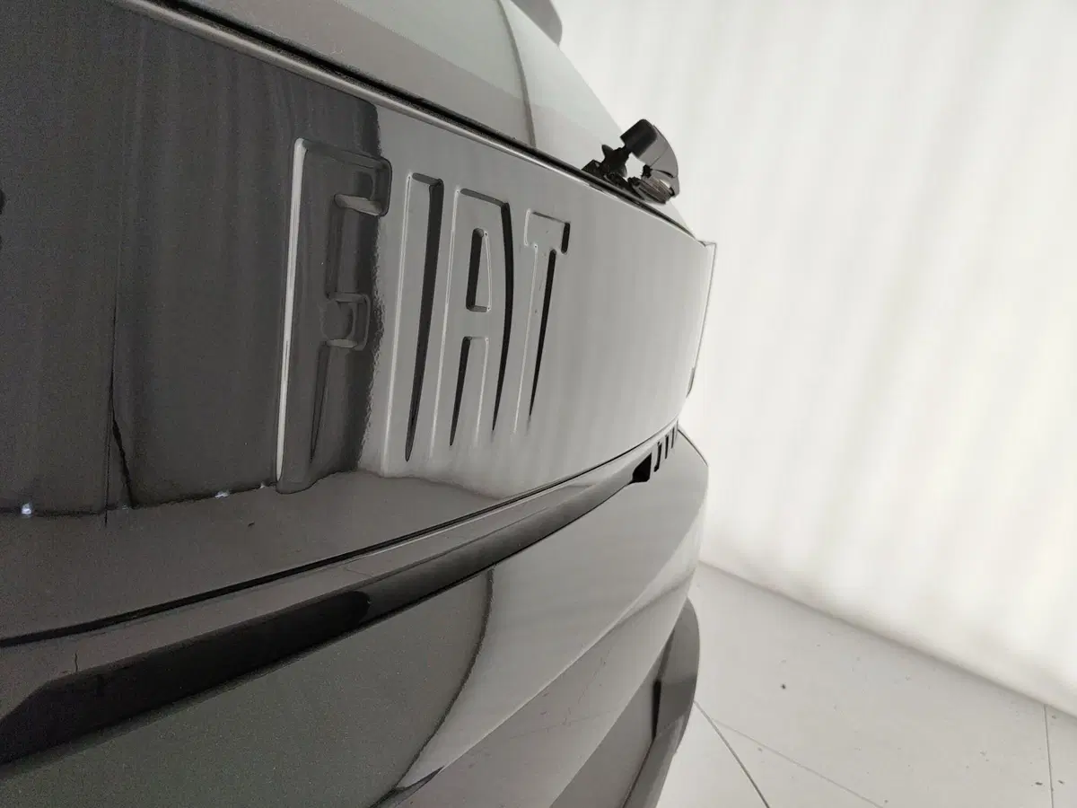Fiat Grande Panda nuova a Caserta (10)
