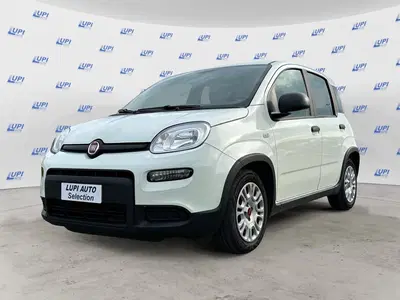 Fiat Panda 1.0 firefly hybrid s&amp;s 70cv 5p.ti del 2023 usata a Lucca
